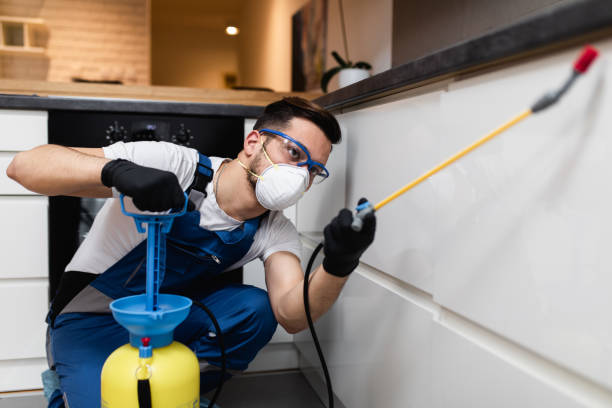 Best Wasp Removal Services  in Westmont, CA