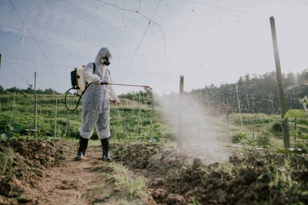 Best Pest Prevention Services  in Westmont, CA