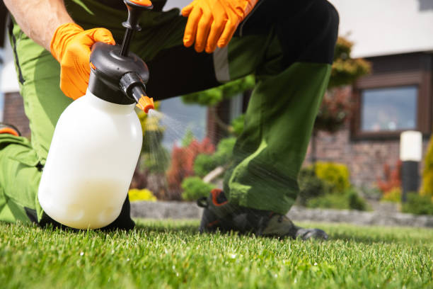 Best Pest Removal Services  in Westmont, CA