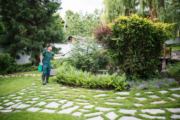 Best Insect Control  in Westmont, CA