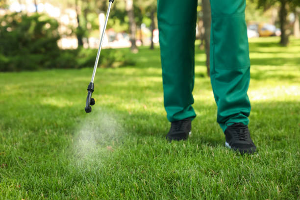 Best Wasp Removal Services  in Westmont, CA
