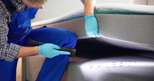 Best Mosquito Control Services  in Westmont, CA