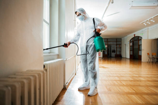 Best Pest Control Near Me in Westmont, CA