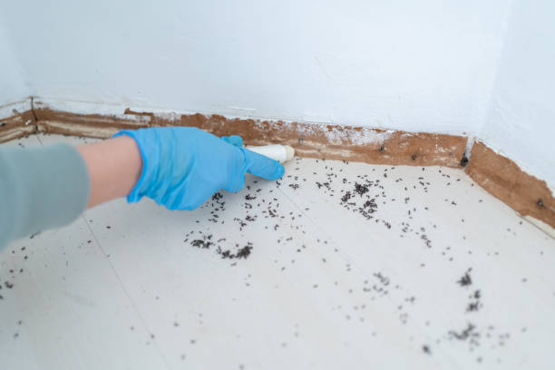 Best Wildlife Control Services  in Westmont, CA