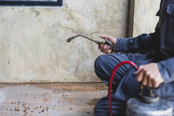 Best Emergency Pest Control  in Westmont, CA