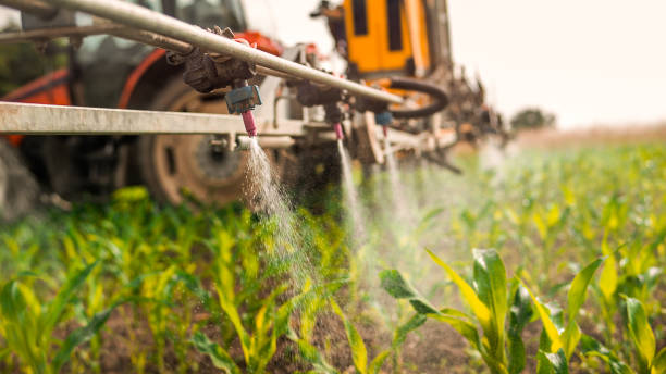 Best Ant Control Services  in Westmont, CA